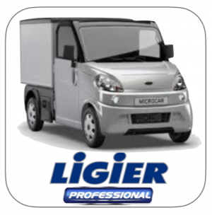 Ligier Professional